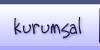 kurumsal